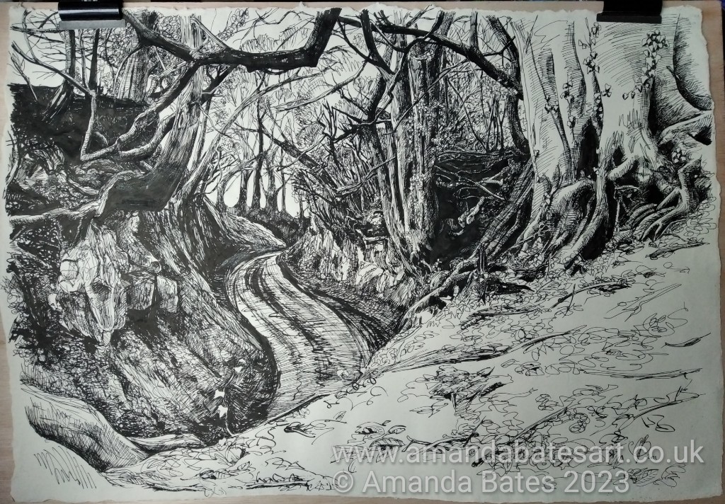 Drawing of sunken lane, trees, clipped to drawing board